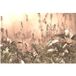 Papier peint panoramique forêt tropicale