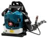 StarTech Benzine bladblazer, rugmodel - 4-takt bladblazer - Krachtig voor tuin en gazon - Lichtgewicht kunststof behuizing - Professioneel tuingereedschap - Blauw