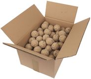 Famiflora Maxi verpakking - doos met 100 mezenbollen zonder netje - 100 x 90g