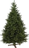 Our Nordic Christmas Kentucky Deluxe Hinged kunstkerstboom - 198 cm - Donkergroen - Ø124 cm - 1542 tips - Houten voet