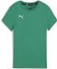 Puma Dames-shirt Teamgoal CasuaLongsleeve Tee Wmn 658617