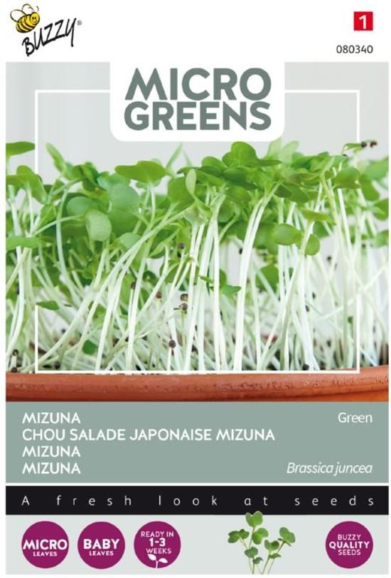 Buzzy Buzzy® Microgreens, Mizuna Green