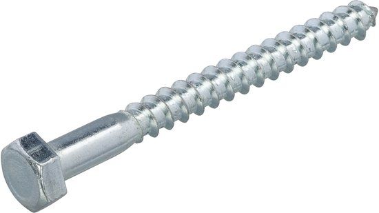 Hoenderdaal Fasteners Hoenderdaal Houtdraadbout VZ 4.6 10X110 doos 50 stuks