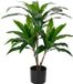 Unyqoos® Grote kunstplant Dracaena Fragans in pot voor stijlvolle interieurdecoratie, groen, 90 cm