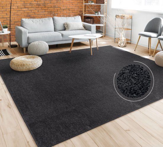Paco Home Vloerkleed Woonkamer Effen Eenvoudig En Modern Laagpolig, 240x340 cm, Zwart