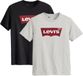 Levis T-shirt Graphic Set-In Neck Set van 2