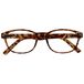 Leesbril Jay Reading Glasses Mixte Bruine Schildpad Lezers Vrouwen Mannen Scharnieren Met Veer R76-2 +2,50