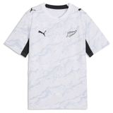 PUMA Functioneel shirt 'Neuseeland' grijs / zwart / wit