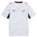 PUMA Functioneel shirt 'Neuseeland' grijs / zwart / wit