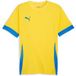 Puma Jersey Teamgoal