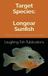 Target Species Longear Sunfish: A Fisherman’s Guide to Colorful Panfish Adventure