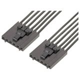 Molex 216270-1060 Female behuizing (kabel) Inhoud: 1 stuk(s) Bulk