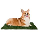Kunstgras PETMAKER Kunstgras puppy plaskussen voor honden en kleine huisdieren - 20x25 herbruikbare 3-laags training potje pad met dienblad - Huisbrekende benodigdheden voor honden van PETMAKER, groen