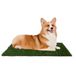 Kunstgras PETMAKER Kunstgras puppy plaskussen voor honden en kleine huisdieren - 20x25 herbruikbare 3-laags training potje pad met dienblad - Huisbrekende benodigdheden voor honden van PETMAKER, groen