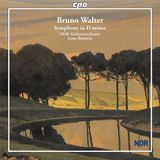 Symphony Cpo Bruno Walter: Symphony in D Minor