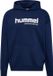 Hummel Hmlsw Graphic Hoodie Mannen L DRESS BLUES Katoen
