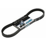 POLINI Speed Belt V-riem - BENELLI 491 RR 50 (2003-) (Minarelli-motor) Type: BA01(02)
