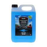 HOLTS Liquide lave-glace 5L