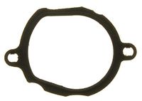 Gasket, Icecat Gasket, thermostat