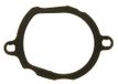 Gasket, Icecat Gasket, thermostat