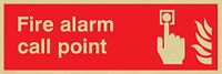 Viking Signs FV341-L31-GV "Fire Alarm Call Point" Sign, Vinyl Gold Sticker, 300 mm H x 100 mm W