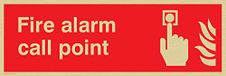 Viking Signs FV341-L31-GV "Fire Alarm Call Point" Sign, Vinyl Gold Sticker, 300 mm H x 100 mm W