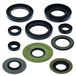Winderosa 822279 Motorolie Seal Kit
