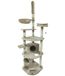 Dehner Favoriete krabpaal Tabby, comfortabele kattenboom, gevarieerd, klimboom voor katten, ca. 60 x 245-270 x 60 cm, sisal/MDF/polyester, beige