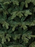 Triumph Tree Sherwood Kunstkerstboom met Verlichting - Kunstkerstboom H185 x D107 cm- Groen