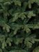 Triumph Tree Sherwood Kunstkerstboom met Verlichting - Kunstkerstboom H185 x D107 cm- Groen