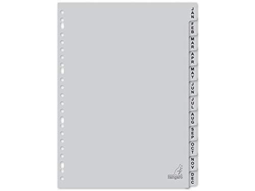 Kangaro Tabbladen A4 letters PP 120 micron 23r.12-delig jan-dec