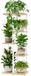 Ibenzoa® Support de plantes intérieur et extérieur avec design étagé pour un gain de place maximal, 5 étagères, Blanc