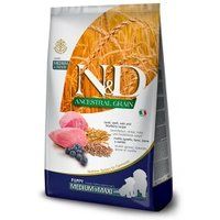 N&D Farmina Ancestral Grain Medium/Maxi Puppy Lam 2x12 kg