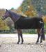 Fleece et tapis de sponsor - Noir/Argent - 145