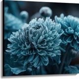 Merkloos / Sans marque Take your time Canvas - Donker Blauwe Cryasanten met Donkere Achtergrond - Bloemen - 100x100 cm Foto op Canvas Schilderij (Wanddecoratie op Canvas)