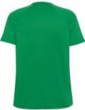 Hummel Hmlcore 2.0 Jersey S/S Sportshirt voor heren, Regular Fit, Ronde hals, Korte mouw, Effen, Katoen, Polyester, Jelly Bean/Wit, Maat L