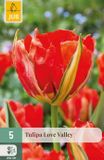 Jub Tulipa Love Valley bloembol JUB 5 stuks