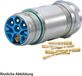 HUMMEL SET, inclusief connectoren M23, signaalapparaat, rechte krimpklem, aantal polen: 16, contactstift voor achterwand - 1