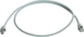 Telegärtner 100008262 RJ45 Netwerkkabel, patchkabel CAT 6A S/FTP 2.00 m Grijs