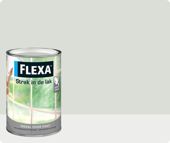 FLEXA Strak in de Lak Watergedragen Zijdeglans Aluminium 1 L