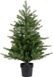 Everlands Grandis mini boom d63h90 cm vert