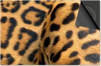 Dietrix Inductie beschermer 60x60 - Cheetahprint dichtbij