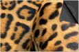 Dietrix Inductie beschermer 60x60 - Cheetahprint dichtbij