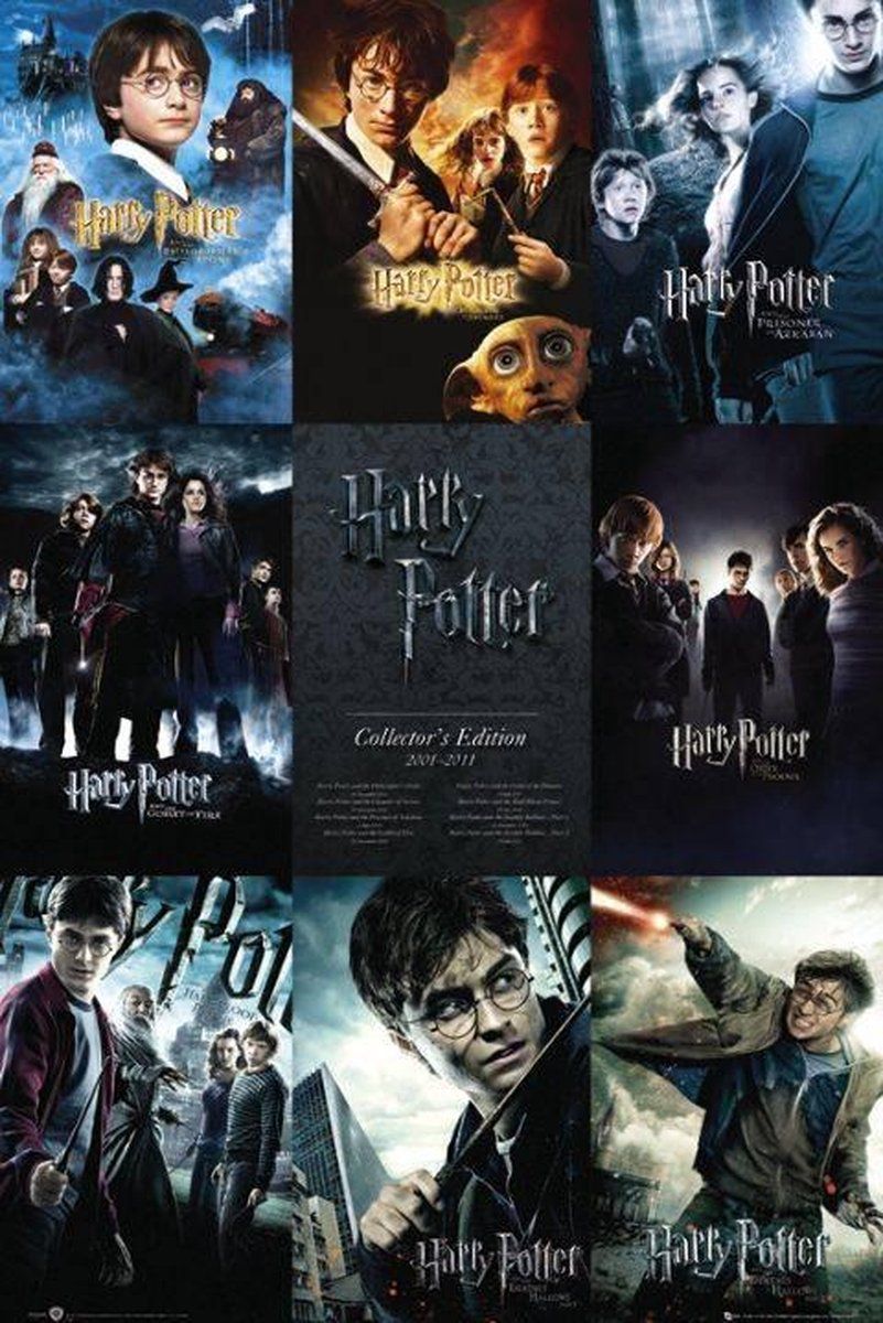 Harry Potter Poster - 61x91.5cm - Multi