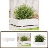 vidaXL Plantenbak 90x90x26,5 cm massief grenenhout wit