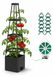 Jardin surélevé avec treillis pour tomates et plantes grimpantes