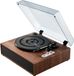 VEVOR Platine vinyle, 3 vitesses, Bluetooth, doubles haut-parleurs 10W, sortie RCA, entrée auxiliaire 3,5 mm, capot anti-poussière transparent, pour disques vinyles de 17,8 cm / 25,4 cm / 30,5 cm
