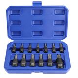 WORKPRO Torx-dopsleutelset, 13-delig, T8-T60 bits van S2-staal en doppen van chroom-vanadium-staal 1/4 inch, 3/8 inch en 1/2 inch, met opbergdoos