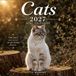 Cats Calendar 2027