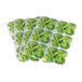 Bioponis - Anti-algen- en schimmelsticker voor binnenmoestuin hydrocultuur - 24 stuks